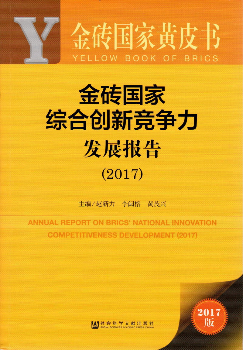 插死她福利电影网金砖国家综合创新竞争力发展报告（2017）